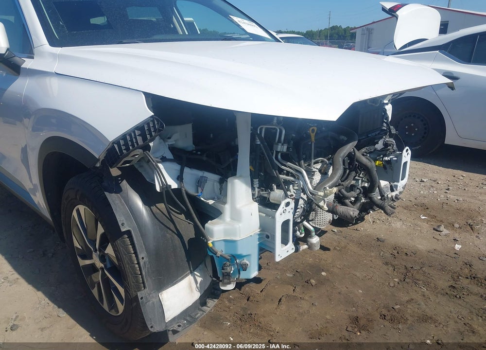 2020 HYUNDAI PALISADE VIN: KM8R24HE9LU051546