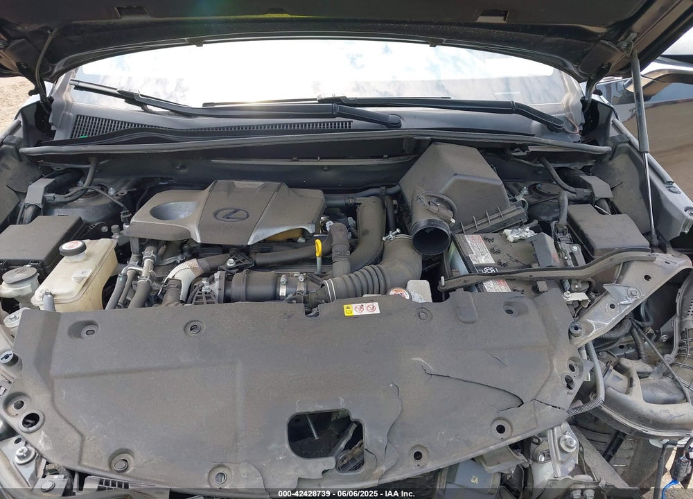 2020 LEXUS NX 300 VIN: JTJDARDZ9L5013698
