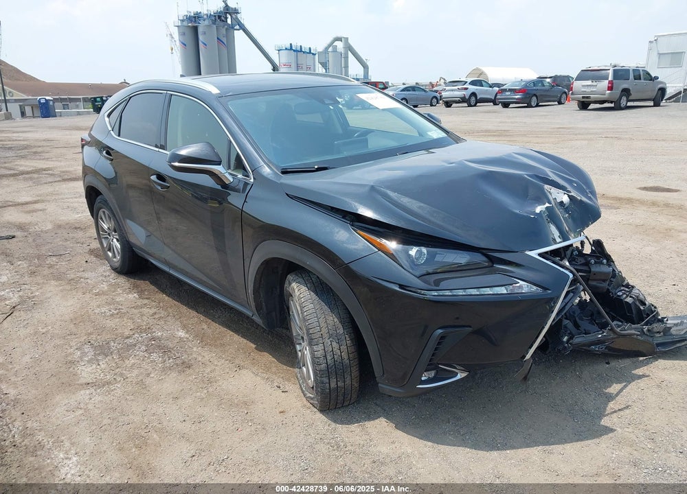 2020 LEXUS NX 300 VIN: JTJDARDZ9L5013698