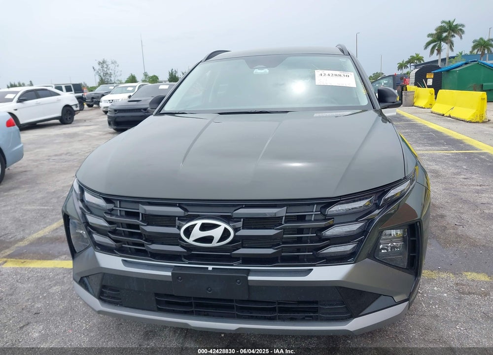 2025 HYUNDAI TUCSON VIN: 5NMJB3DE3SH491981
