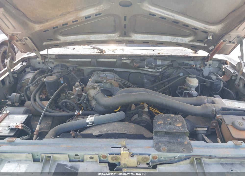 1989 FORD BRONCO U100 VIN: 1FMEU15NXKLA14330
