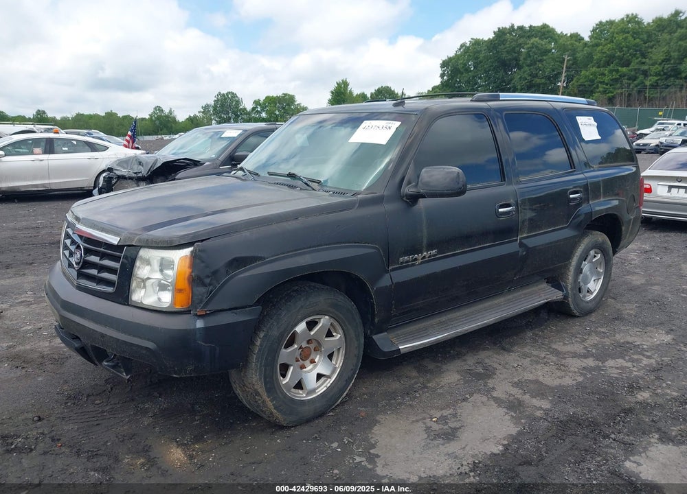 2002 CADILLAC ESCALADE STANDARD VIN: 1GYEK63N12R308667