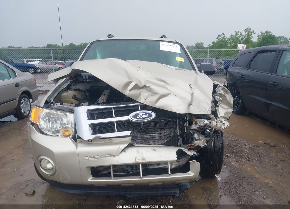 2011 FORD ESCAPE XLT VIN: 1FMCU0D79BKA66350