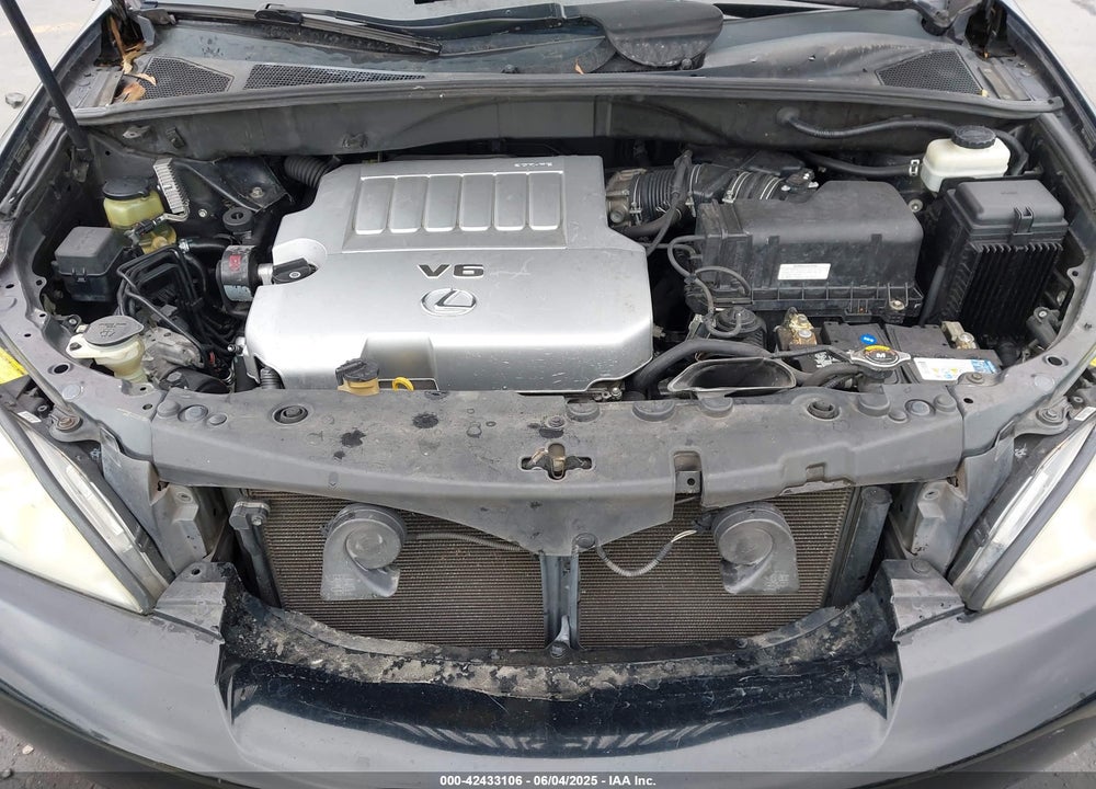 2009 LEXUS RX 350 VIN: 2T2GK31U29C060422