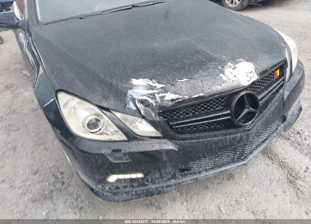 2010 MERCEDES-BENZ E 550 VIN: WDDKJ7CB3AF029900