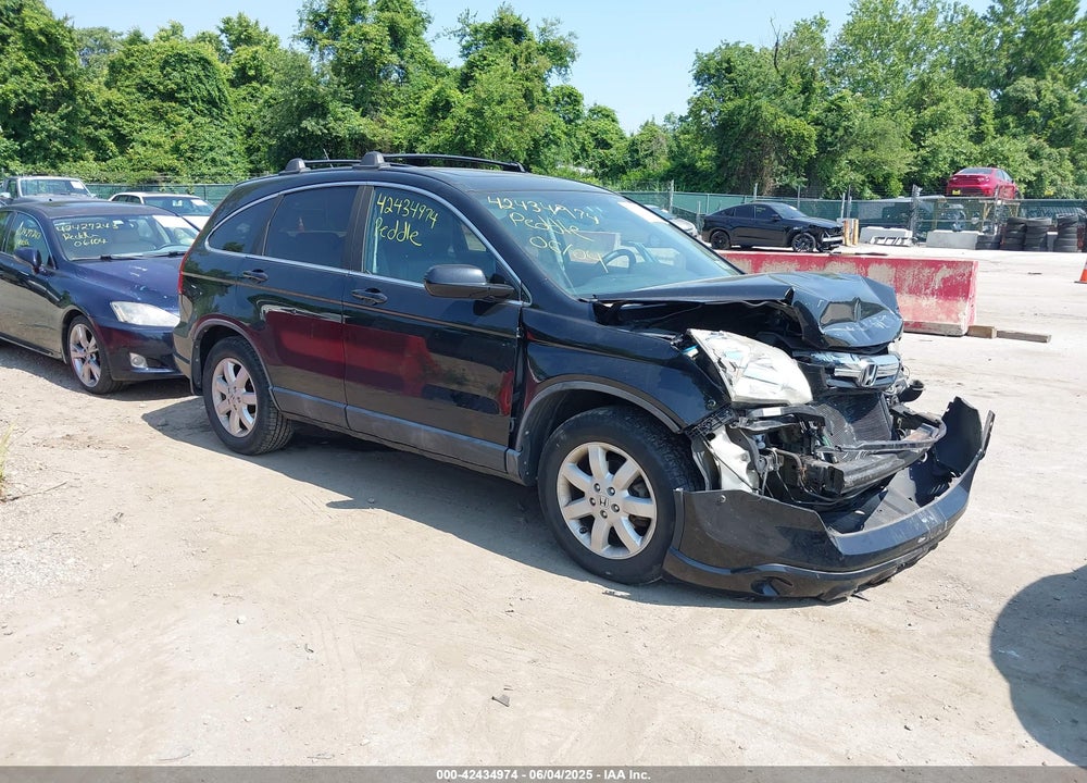 2009 HONDA CR-V VIN: 5J6RE48739L010450