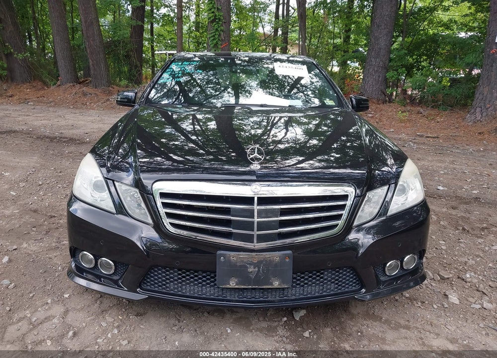 2010 MERCEDES-BENZ E 550 VIN: WDDHF9AB0AA125460