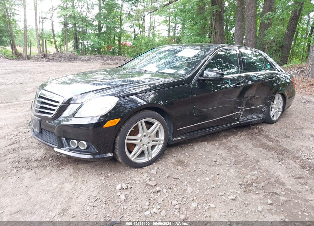 2010 MERCEDES-BENZ E 550 VIN: WDDHF9AB0AA125460
