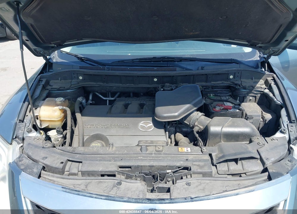 2010 MAZDA CX-9 VIN: JM3TB2MV9A0205429