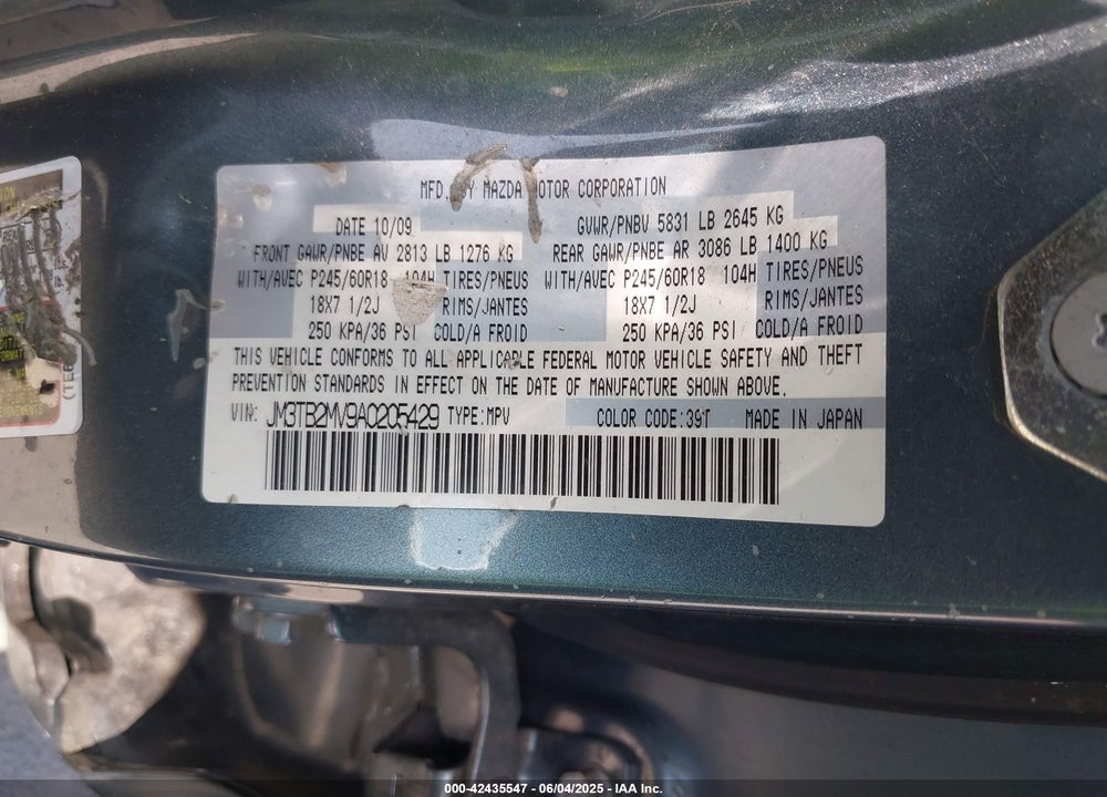 2010 MAZDA CX-9 VIN: JM3TB2MV9A0205429