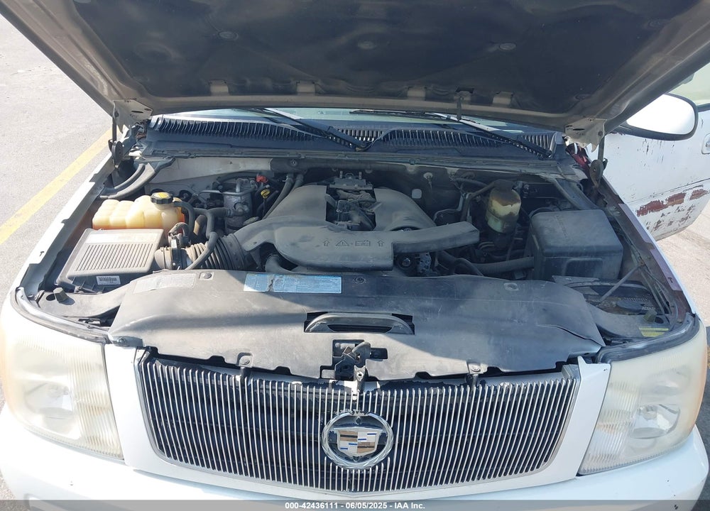 2002 CADILLAC ESCALADE STANDARD VIN: 1GYEK63N22R100538