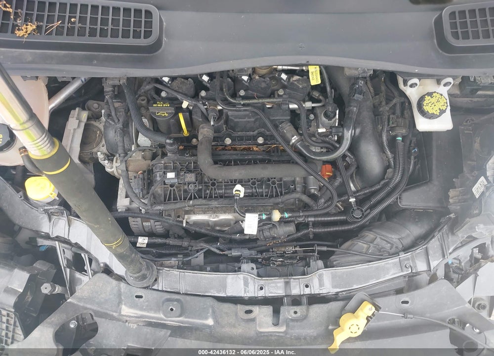 2019 FORD ESCAPE VIN: 1FMCU9GD5KUB37179