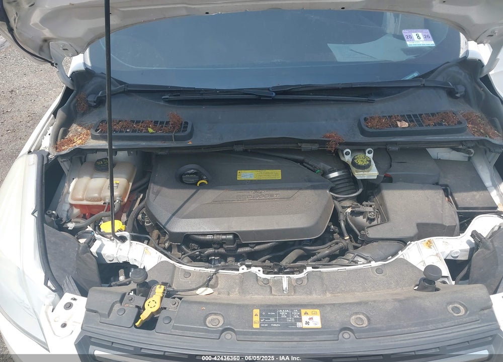 2013 FORD ESCAPE VIN: 1FMCU9GXXDUD82847