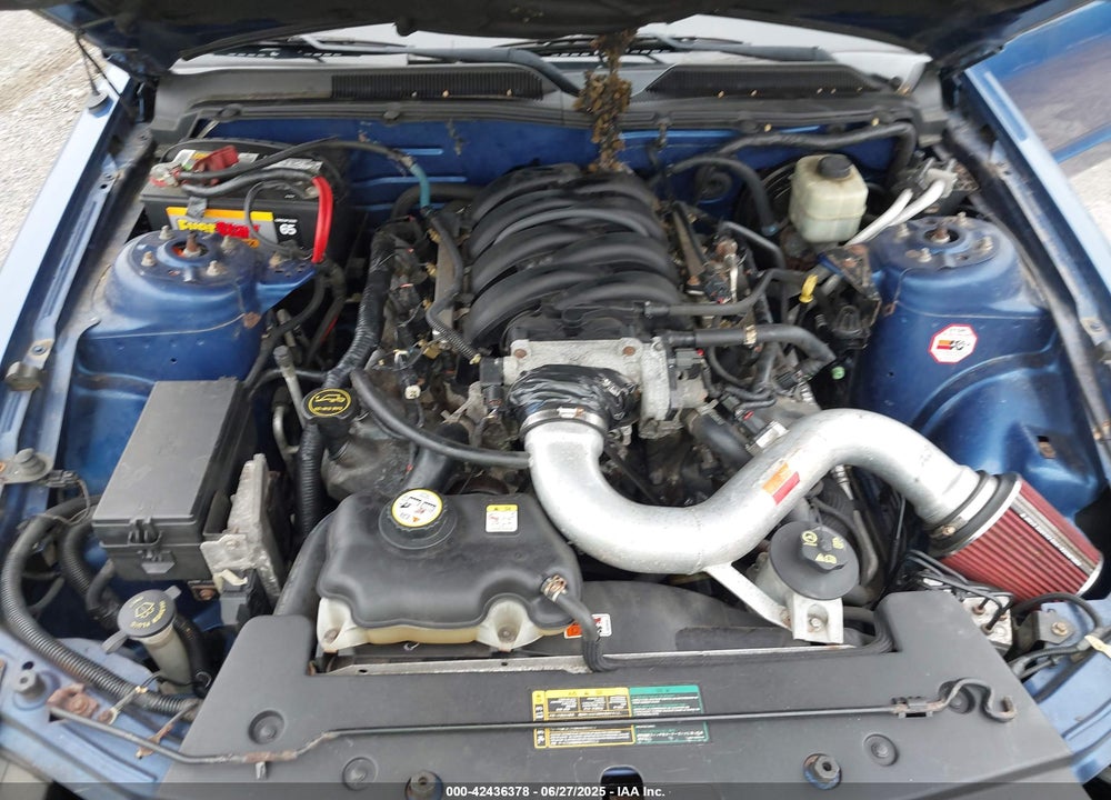 2006 FORD MUSTANG GT VIN: 1ZVFT82H665243386
