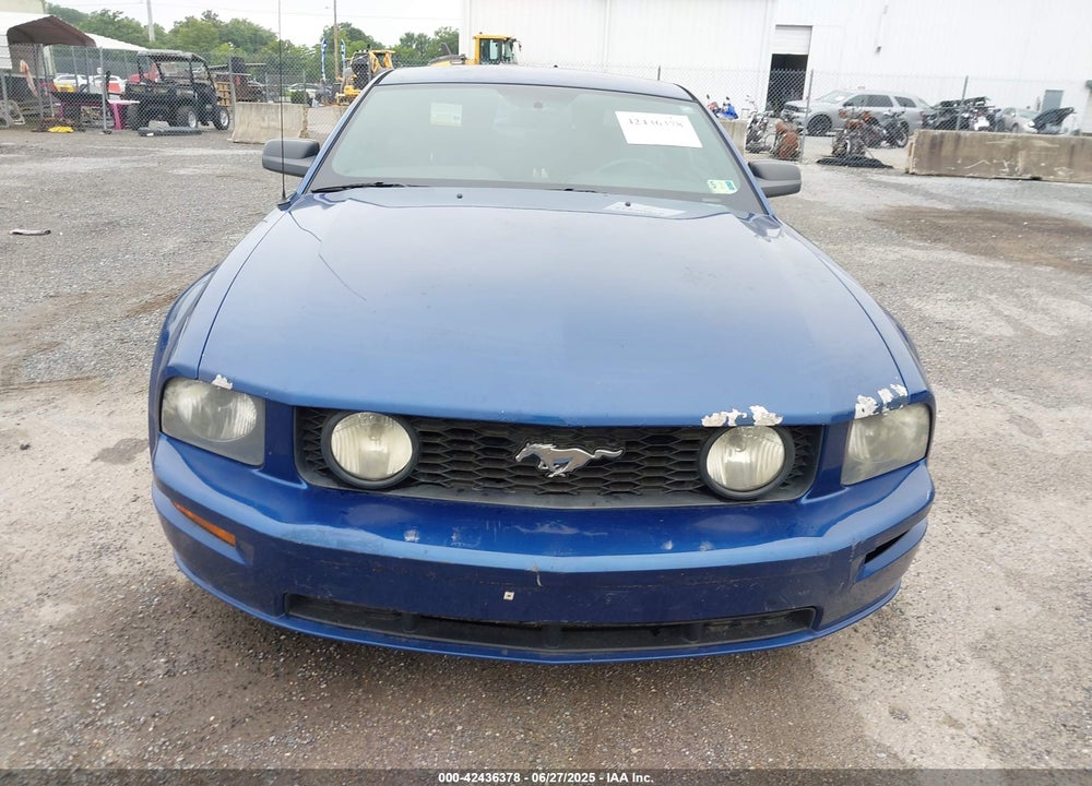 2006 FORD MUSTANG GT VIN: 1ZVFT82H665243386
