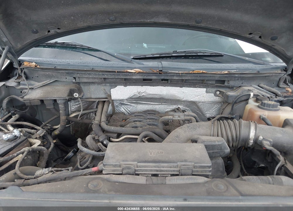 2011 FORD F-150 XLT VIN: 1FTFX1EF0BFB60419