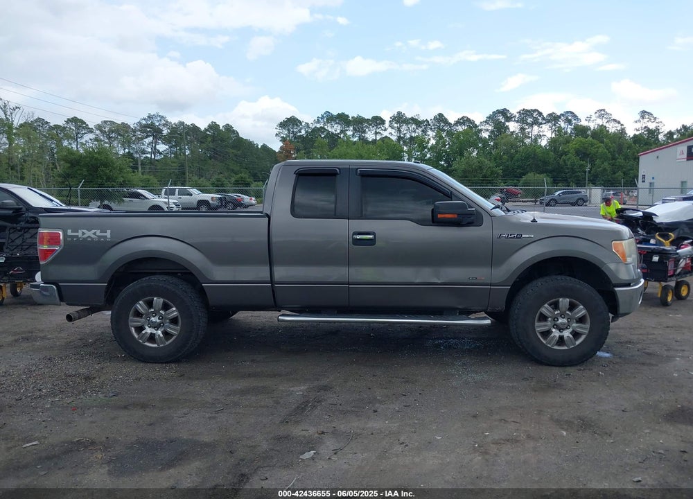 2011 FORD F-150 XLT VIN: 1FTFX1EF0BFB60419