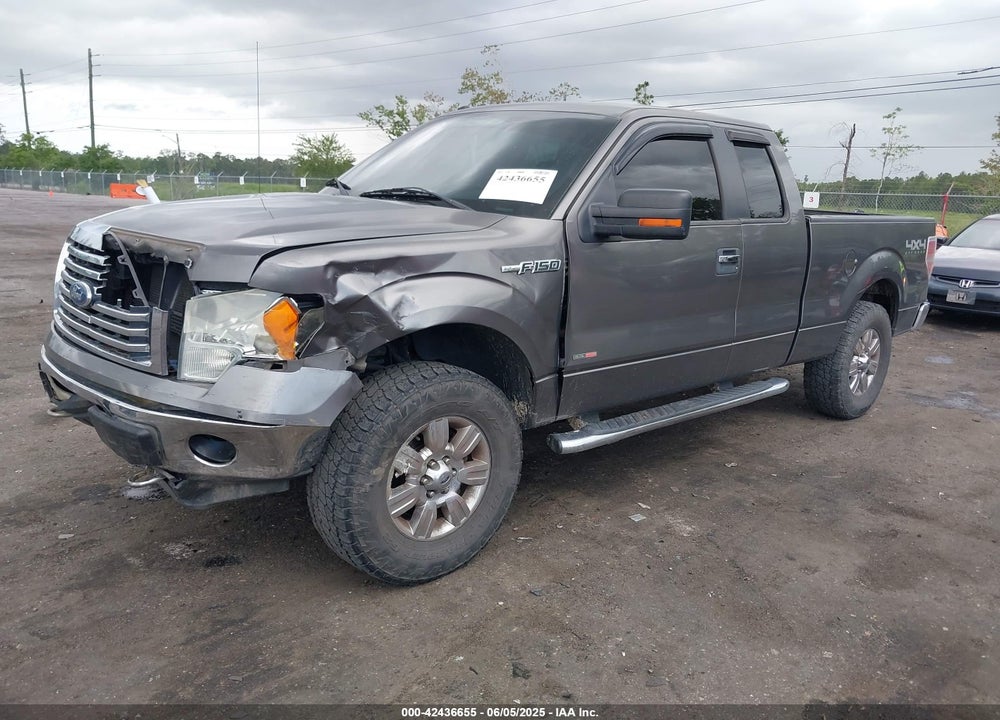 2011 FORD F-150 XLT VIN: 1FTFX1EF0BFB60419