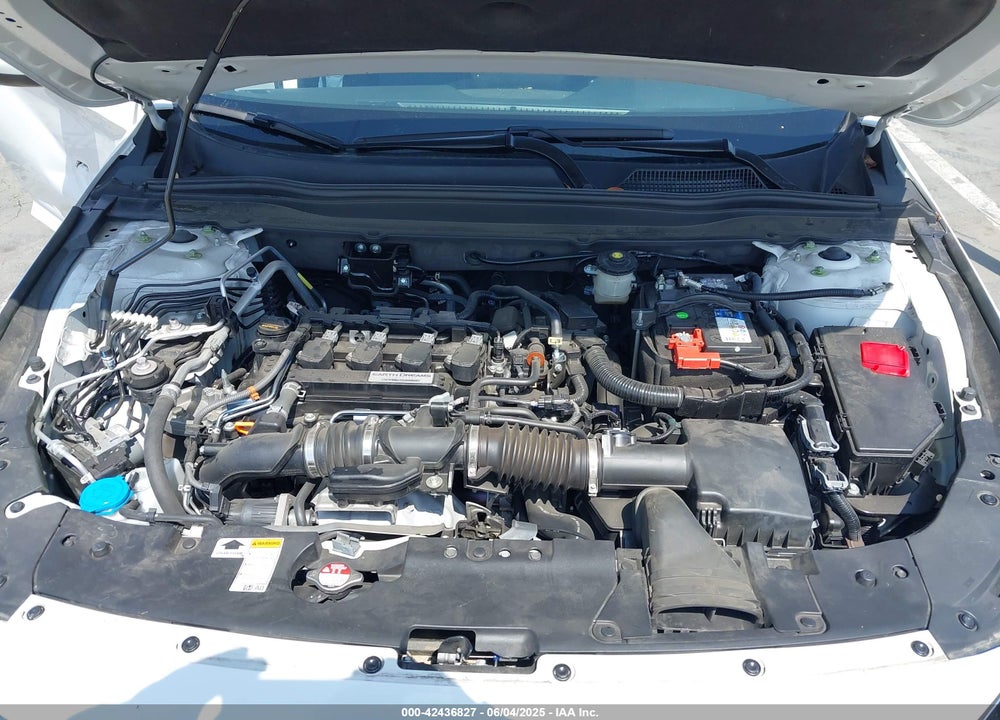 2019 HONDA ACCORD VIN: 1HGCV1F11KA067550