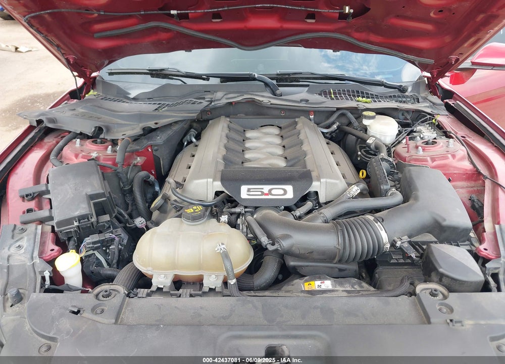 2015 FORD MUSTANG VIN: 1FA6P8CF5F5424246