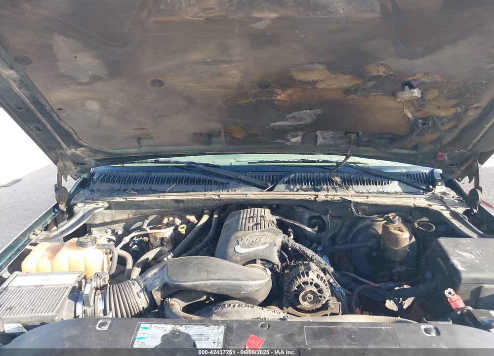 2002 CHEVROLET SILVERADO 1500 VIN: 2GCEC19V521424069