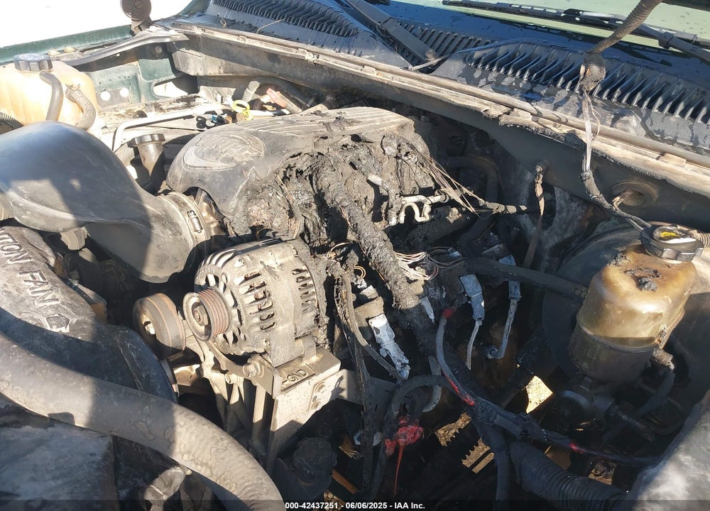 2002 CHEVROLET SILVERADO 1500 VIN: 2GCEC19V521424069