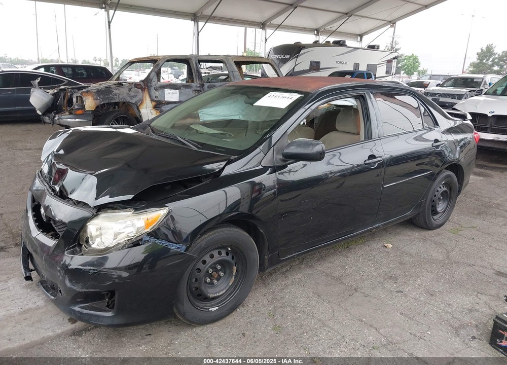 2010 TOYOTA COROLLA VIN: 1NXBU4EE8AZ291491