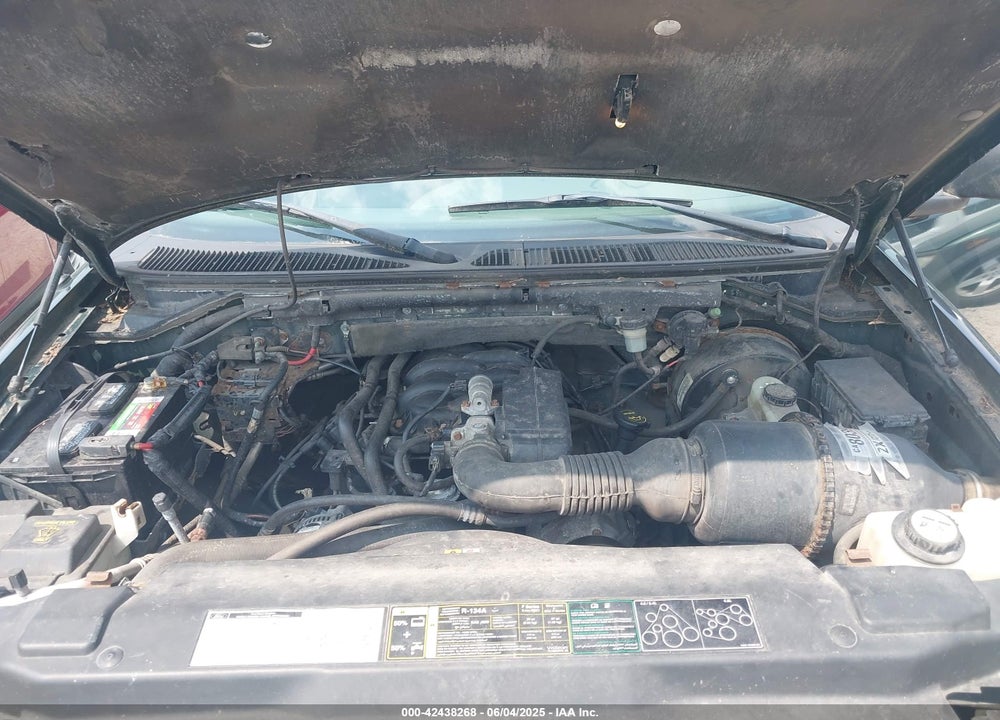 2002 FORD F-150 XL/XLT VIN: 1FTRF17202NA01318