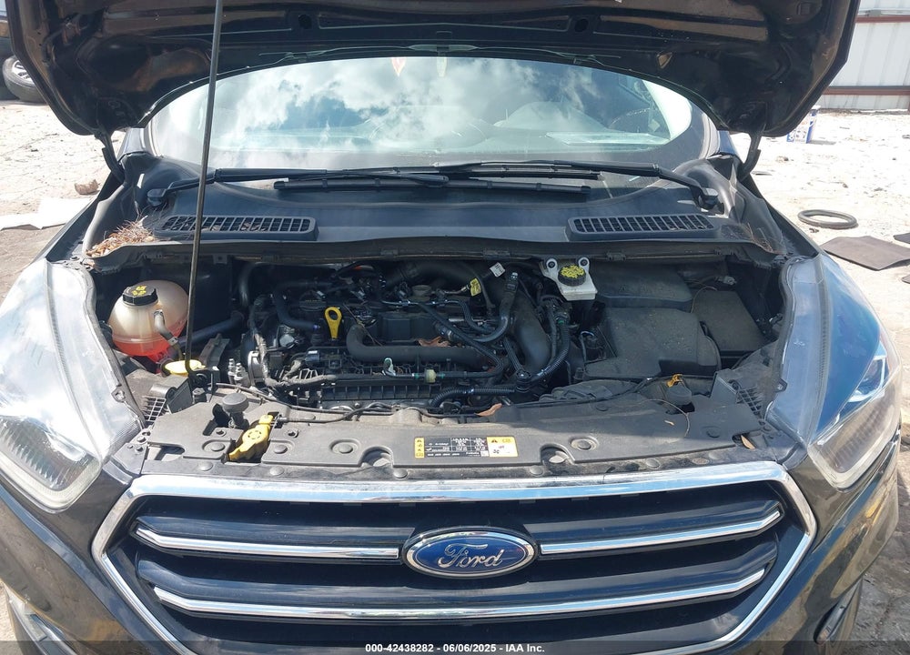 2019 FORD ESCAPE VIN: 1FMCU9GDXKUC56538
