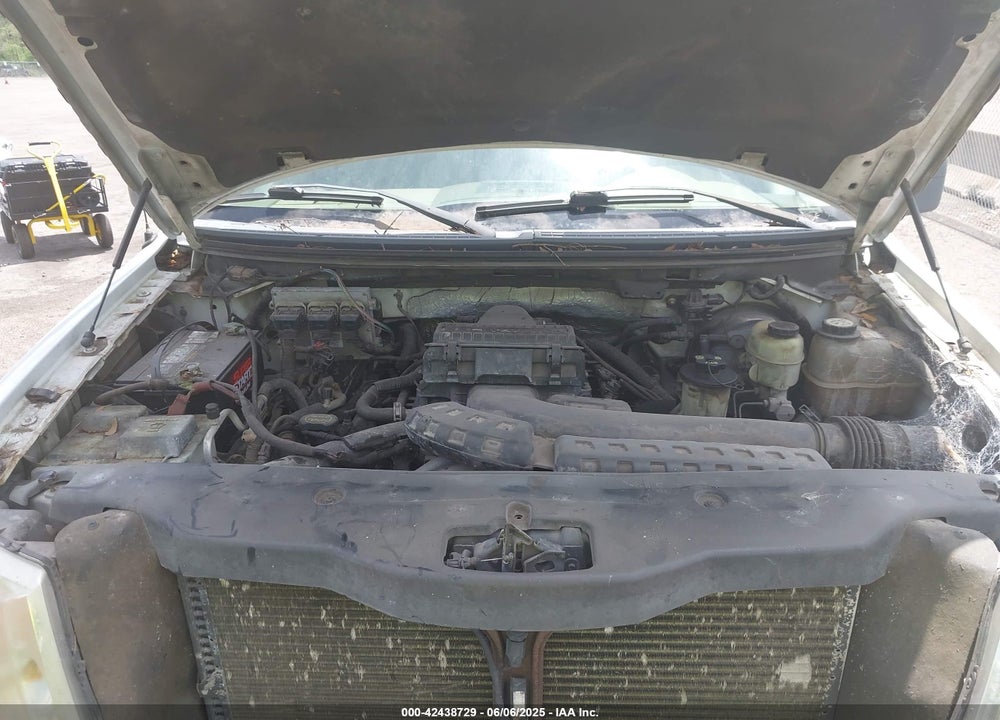 2006 FORD F-150 VIN: 1FTPX12V66NA95233