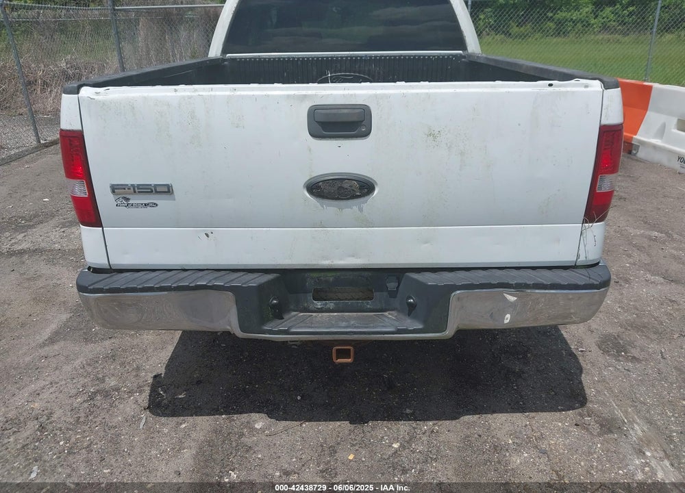 2006 FORD F-150 VIN: 1FTPX12V66NA95233