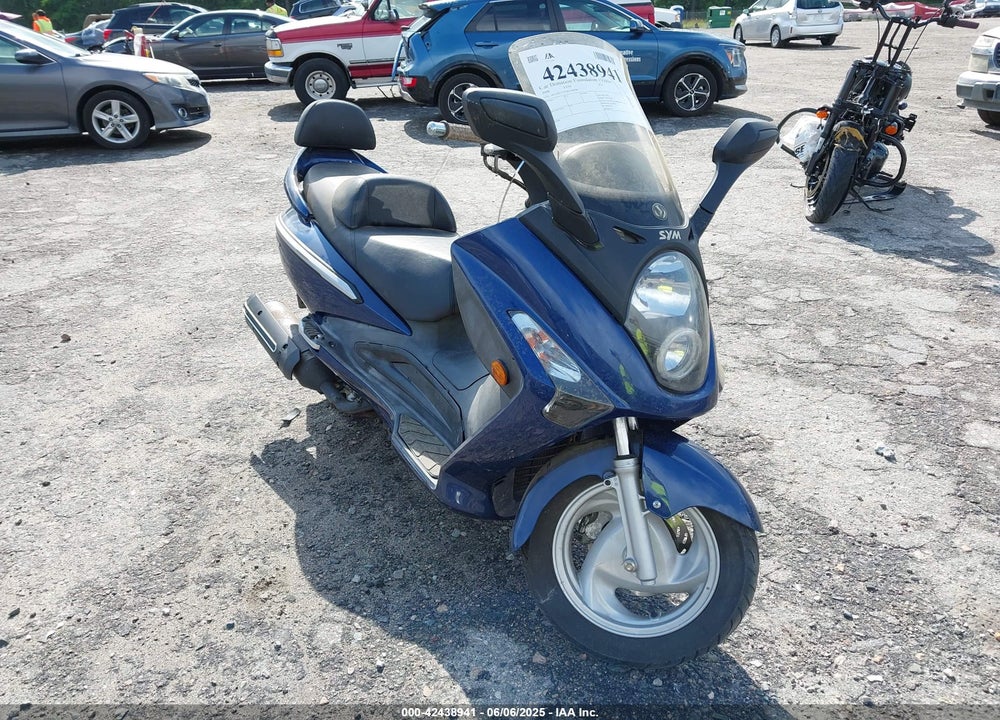 2008 SYM RV 250 VIN: RFGBS1TD38SLM0585