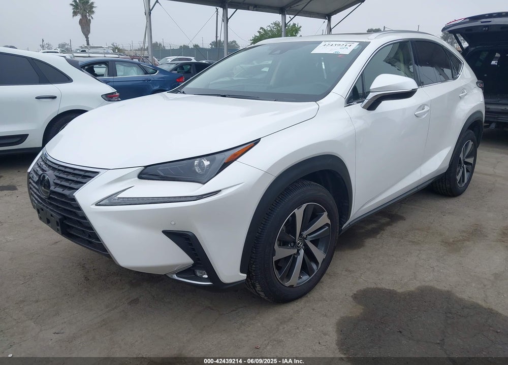 2020 LEXUS NX 300 VIN: JTJGARBZ2L2160592