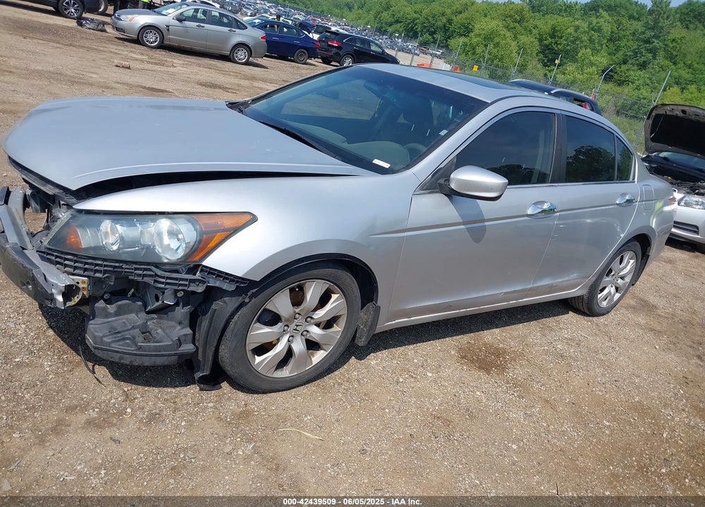 2010 HONDA ACCORD VIN: 1HGCP3F80AA019281