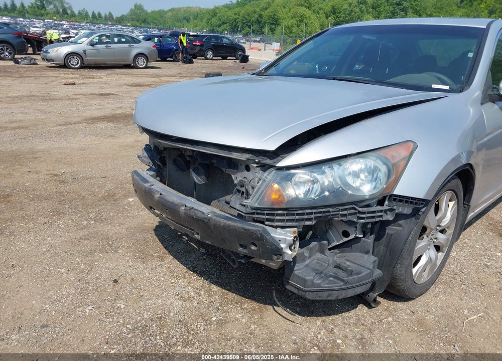 2010 HONDA ACCORD VIN: 1HGCP3F80AA019281