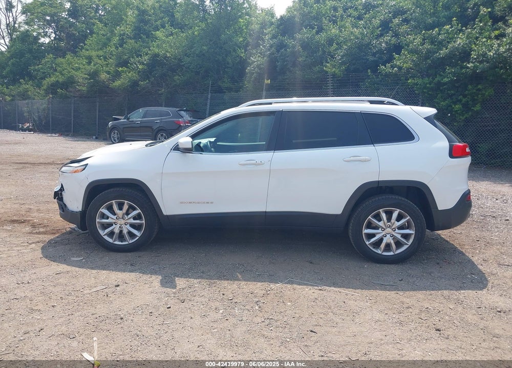 2014 JEEP CHEROKEE LIMITED VIN: 1C4PJMDS9EW246970