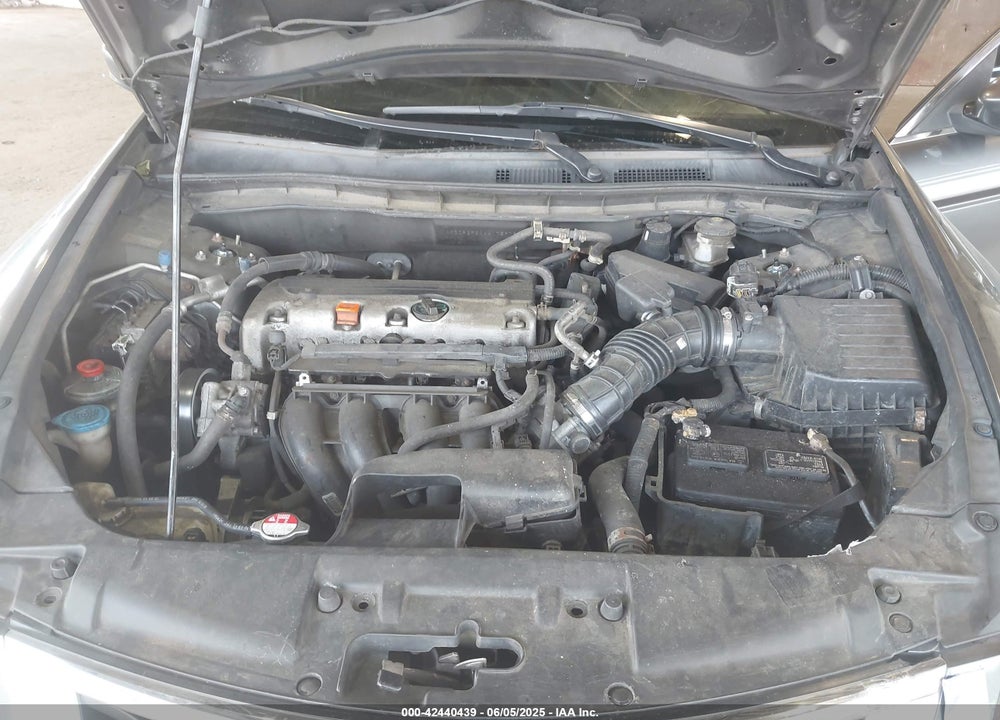 2010 HONDA ACCORD VIN: 1HGCP2F30AA175979