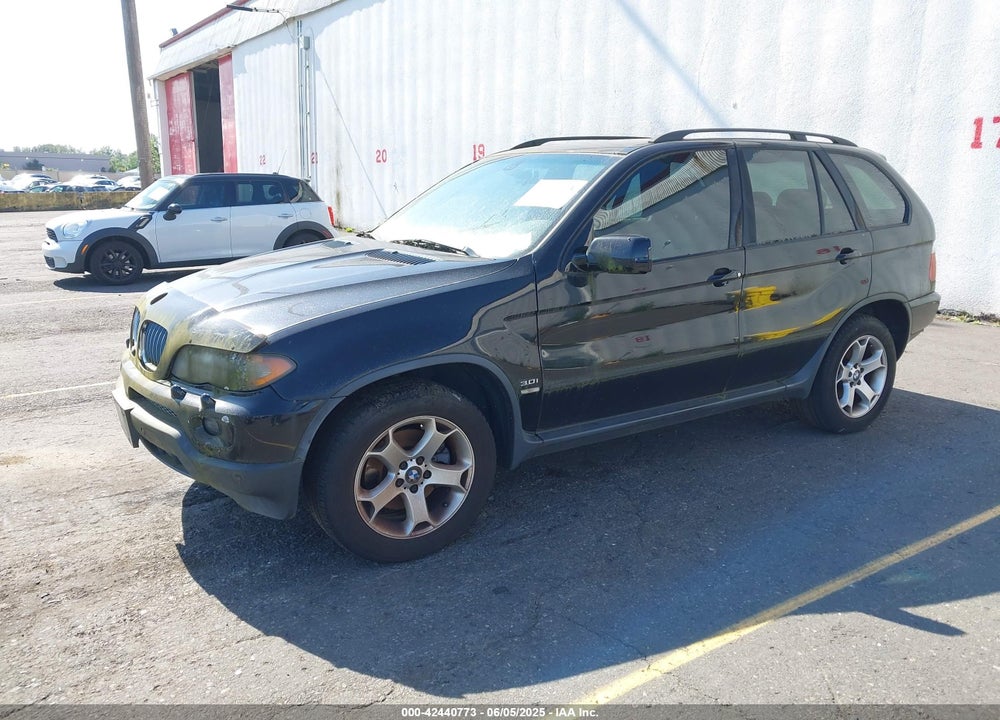 2006 BMW X5 3.0I VIN: 5UXFA13596LY43415