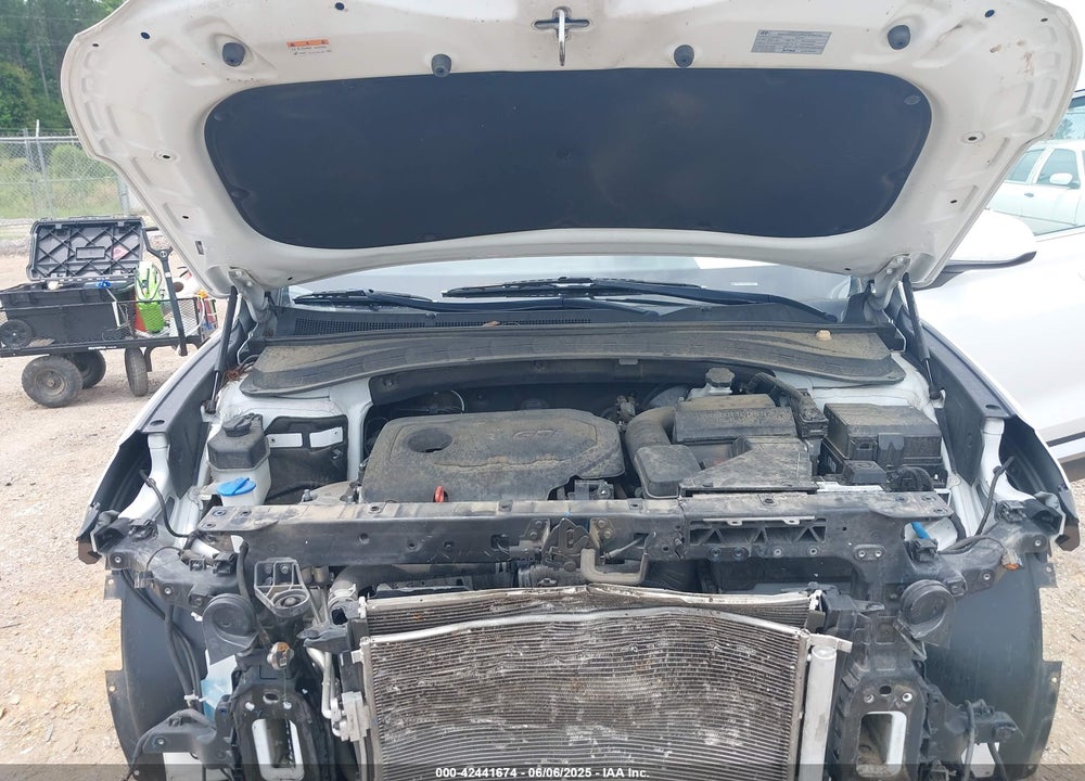 2019 HYUNDAI SANTA FE VIN: 5NMS23AD0KH108904