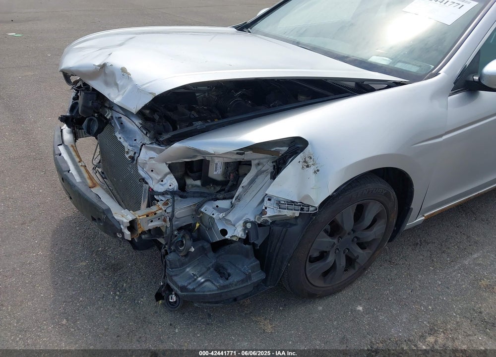 2010 HONDA ACCORD VIN: 1HGCP3F73AA018844