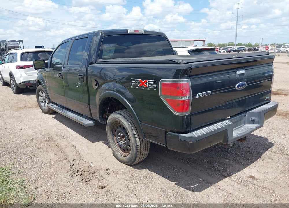 2010 FORD F-150 VIN: 1FTEW1C87AKE23479