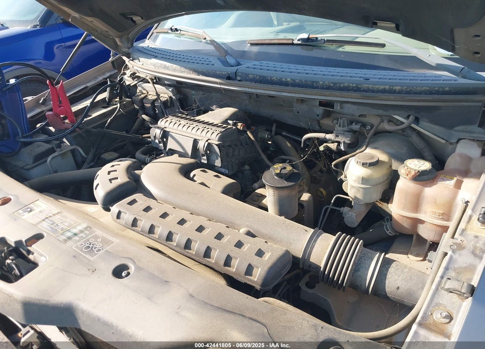 2004 FORD F-150 VIN: 1FTPX12544NB78463