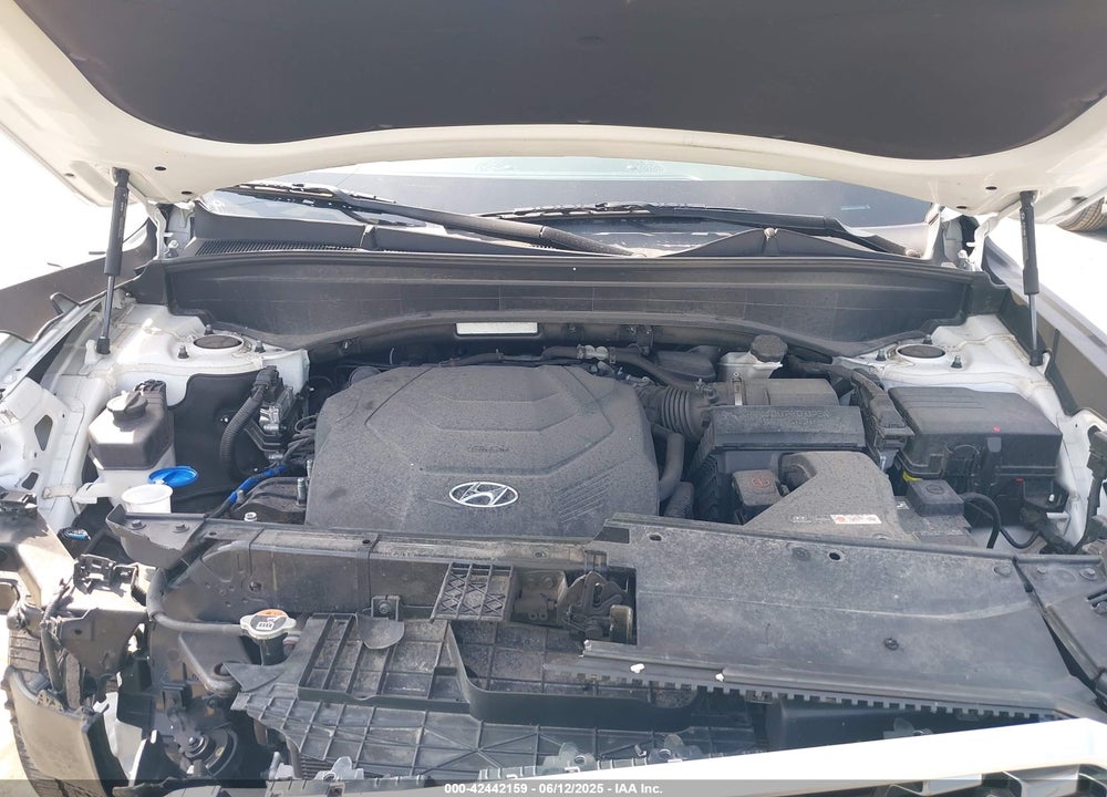 2020 HYUNDAI PALISADE VIN: KM8R4DHE6LU130506