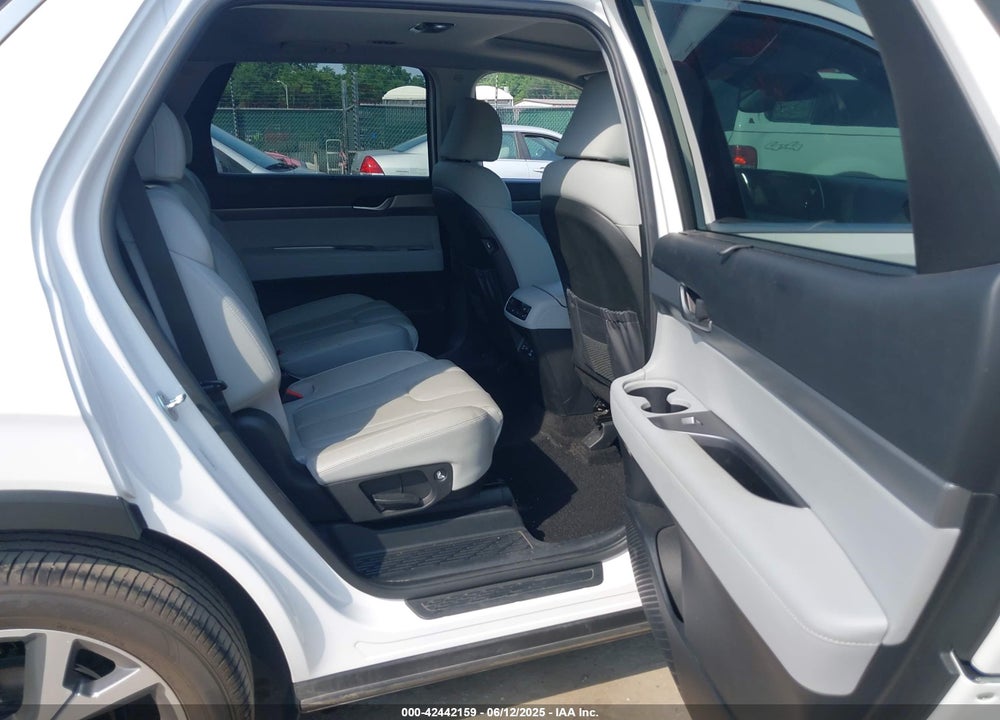 2020 HYUNDAI PALISADE VIN: KM8R4DHE6LU130506