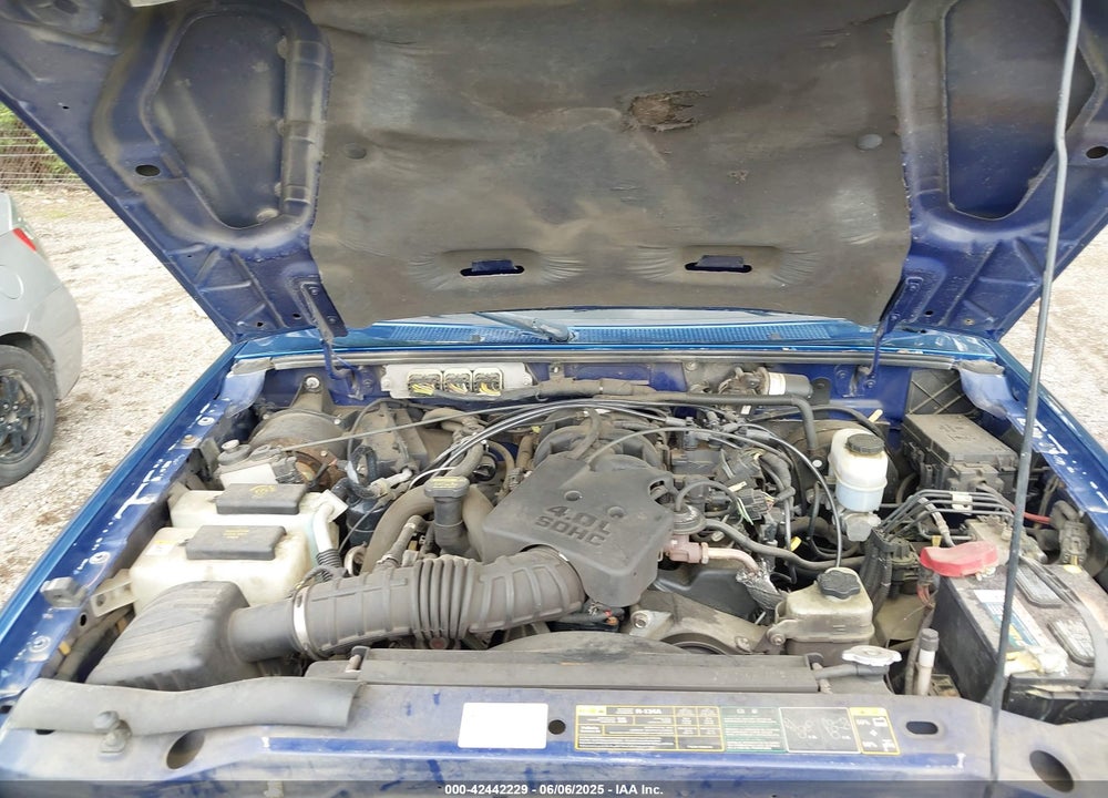 2010 FORD RANGER VIN: 1FTLR4FE9APA70862