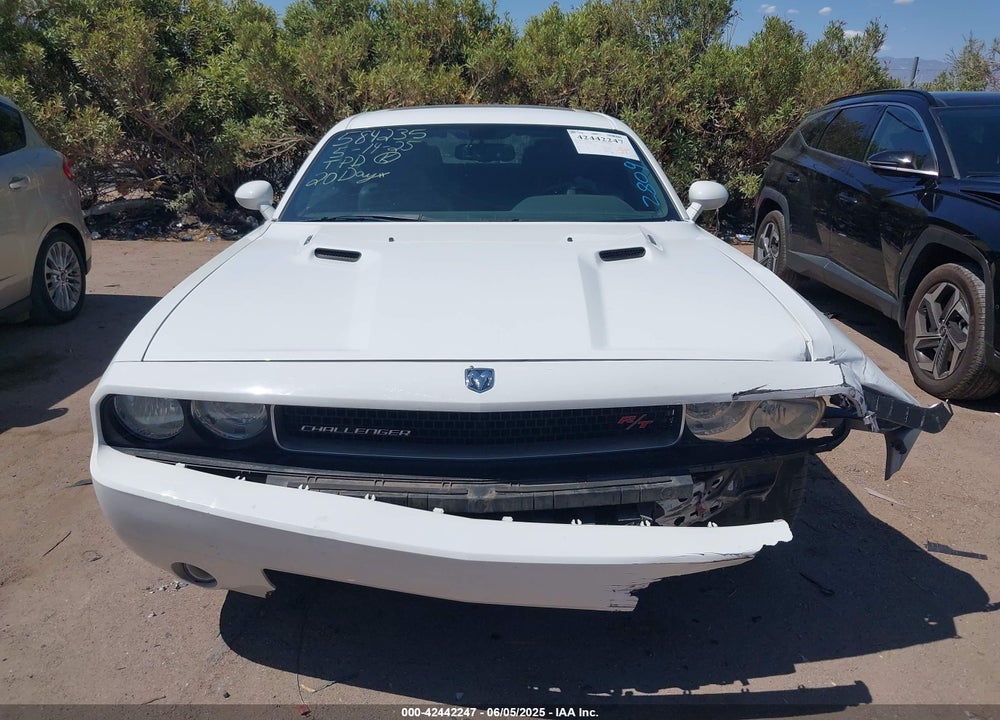 2010 DODGE CHALLENGER R/T VIN: 2B3CJ5DTXAH280942