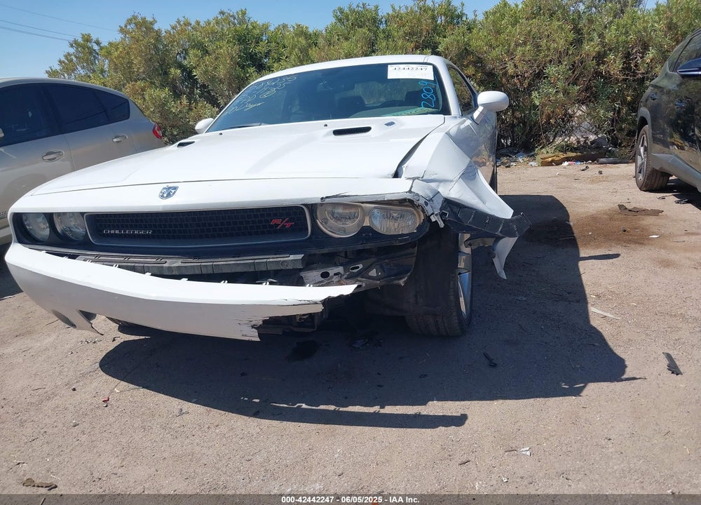 2010 DODGE CHALLENGER R/T VIN: 2B3CJ5DTXAH280942