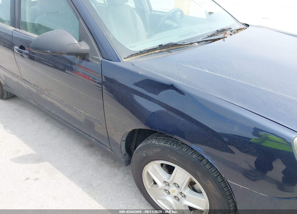 2005 CHEVROLET MALIBU LS VIN: 1G1ZT54825F198413