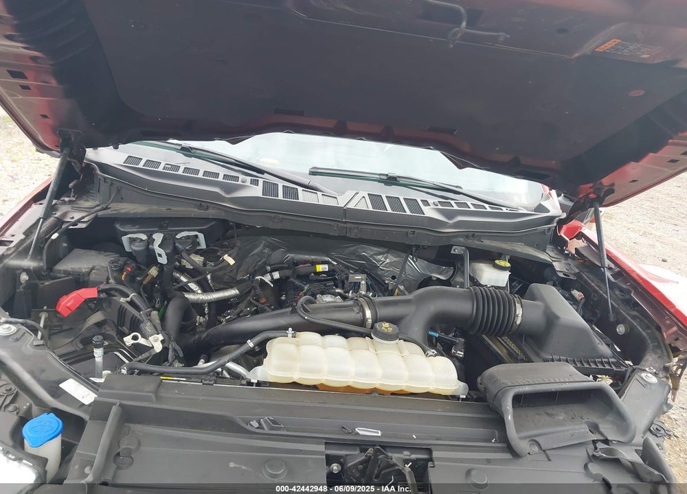 2023 FORD F150 VIN: 1FTEW1EP6PKE47429