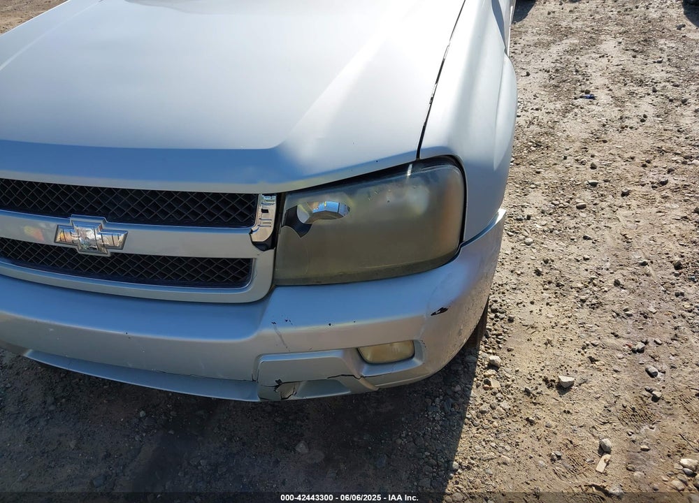 2007 CHEVROLET TRAILBLAZER VIN: 1GNDS13S572254887